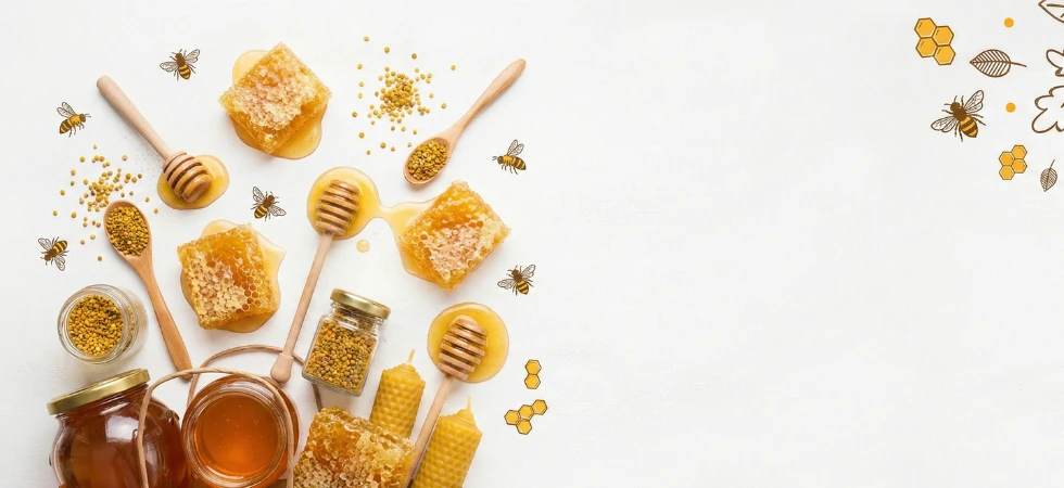 Ballıca Petek Header 3